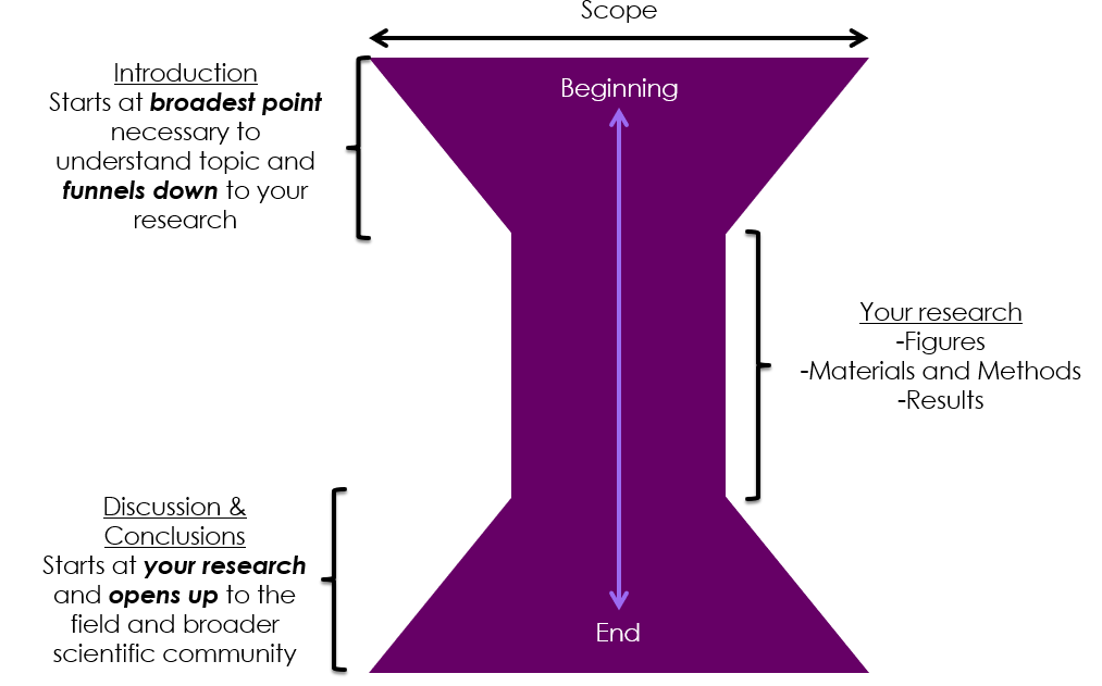 scientific paper structure is an hourglass