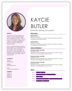 Example of an industry CV