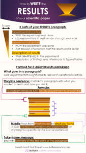 Infographic of how to write a results paragraph of a scientific paper