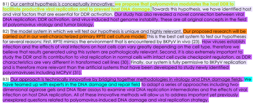 Innovation section of a grant proposal colored according to the key parts.